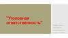 Уголовная ответственность
