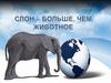 Слон – больше, чем животное