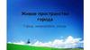 Живое пространство города. Город, микрорайон, улица