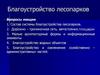 Благоустройство лесопарков