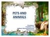 Pets and animals