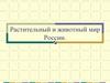 Растительный и животный мир России