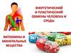 Энергетический и пластический обмены человека и среды. Витамины и минеральные вещества