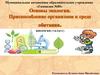 Основы экологии. Приспособление организмов к среде обитания