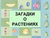 Загадки о растениях