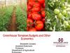 Greenhouse Tomatoes Budgets and Other Economics