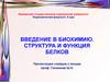 Введение в биохимию. Строение и функции белков