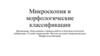 Микроскопия и морфологические классификации бактерий