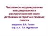Численное моделирование инициирования и распространения волн детонации в горючих газовых смесях
