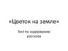 «Цветок на земле». Тест по содержанию рассказа