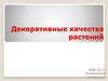 Декоративные качества растений