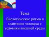 Биологические ритмы и адаптация человека к условиям внешней среды