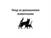 Уход за домашними животными