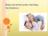 Биологические ритмы и их влияние на работоспособность человека