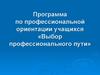 Программа по профессиональной ориентации учащихся «Выбор профессионального пути»