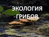 Экология грибов