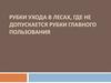 Рубки ухода в лесах, где не допускается рубки главного пользования