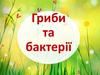 Гриби та бактерії