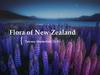 Flora of New Zealand