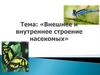 Внешнее и внутреннее строение насекомых