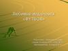 Любимый вид спорта: «Футбол». 7 класс