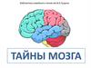 Тайны мозга