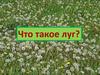 Что такое луг