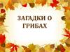 Загадки о грибах