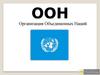 Организация Объединенных Наций