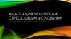 Адаптация к стрессовым ситуациям