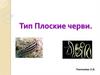 Тип Плоские черви