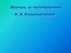 Жизнь и творчество B. В. Каменского