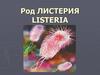 Род Листерия Listeria