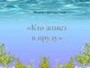 Обитатели водоемов. Растения пресного водоёма