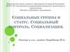 Социальные группы и статус. Социальный контроль. Социализация
