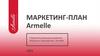 Стратегия успешного развития бизнеса в партнерстве с Armelle