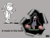 A mole in the hole