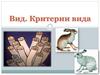 Вид. Критерии вида