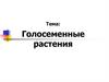 Голосеменные растения