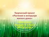 Растения в интерьере жилого дома