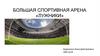 Большая спортивная арена «Лужники»