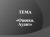 Оценка и аудит