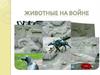 Животные на войне