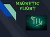 Magnetic Flight