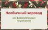 Необычный хоровод или фразеологизмы в нашей жизни