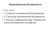 Экономическая безопасность