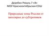 Природные зоны России от заполярья до субтропиков