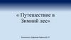 Путешествие в зимний лес