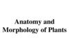 Anatomy and morphology of plants