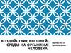Воздействие внешней среды на организм человека